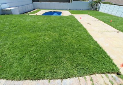 Step 3 - Finish and mow